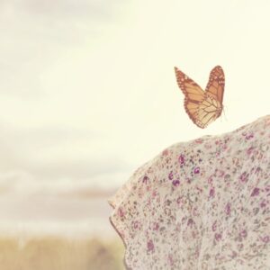 Regresion a vida pasada