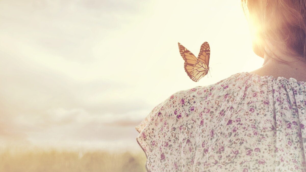 Regresion a vida pasada